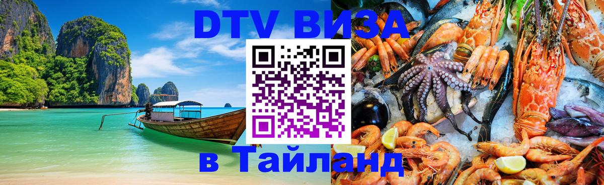 Сколько стоит DTV виза — актуальные цены, оформление даже без документов - Сантьяго  20.11.2025 